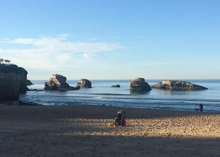 L'ocean A Perte De Vue, La Grande A Vos Pieds 公寓